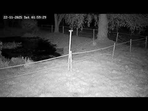 Eifel EGE Eagle Owl Webcam 3 Stream 2025 live cam preview