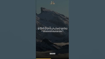 Surah Al-Mursalat Verse 25-29 | سورة المرسلات الآية 25-29 | Abdun Nasir Khan