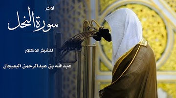 أواخر سورة التوبة للشيخ : د.عبدالله البعيجان من المسجد النبوي 🕌 - رمضان ١٤٤٦ هـ