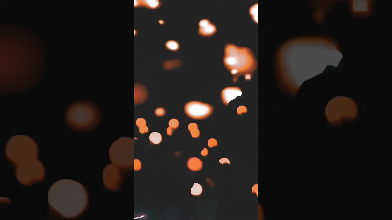 ...《岁岁年年》By  Xiao Zhan  ". Spring festival Gala 2026 