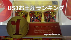 ユニバーサルスタジオお土産人気 Youtube