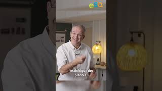06 - UMT STRATège Perception des consommateurs sur les pots et substrats vendus en jardinerie