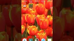 MİNECRAFT NASIL İNDİRİLİR ANDROİD OYUN CLUB##indirme serisi 1.