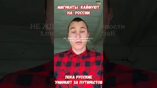 Мигранты кайфуют в РФ а русские умирают за Путина СВО #историярф #ржачные #ржака #приколы #приколюха