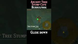 Where To Find Ancient Tree Stump Cave Bubbulfrog | #Zelda Tears of the Kingdom #totk