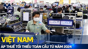 VIỆT NAM ÁP THUẾ TỐI THIỂU TOÀN CẦU TỪ NĂM 2024