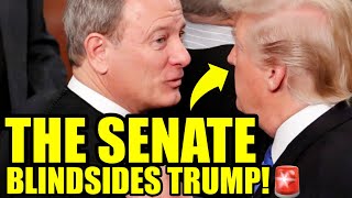 SENATE Drops BOMBSHELL On TRUMP And The Supreme Court