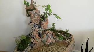 Penjing bonsai air terjun / kolam ikan mini
