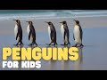 Penguin Facts and Challenges