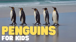 Penguins for Kids | Learn all about this unique bird by Learn Bright 21,080 views 3 months ago 7 minutes