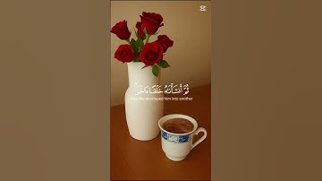 ما تيسر من سورة المؤمنين ♡♡♡