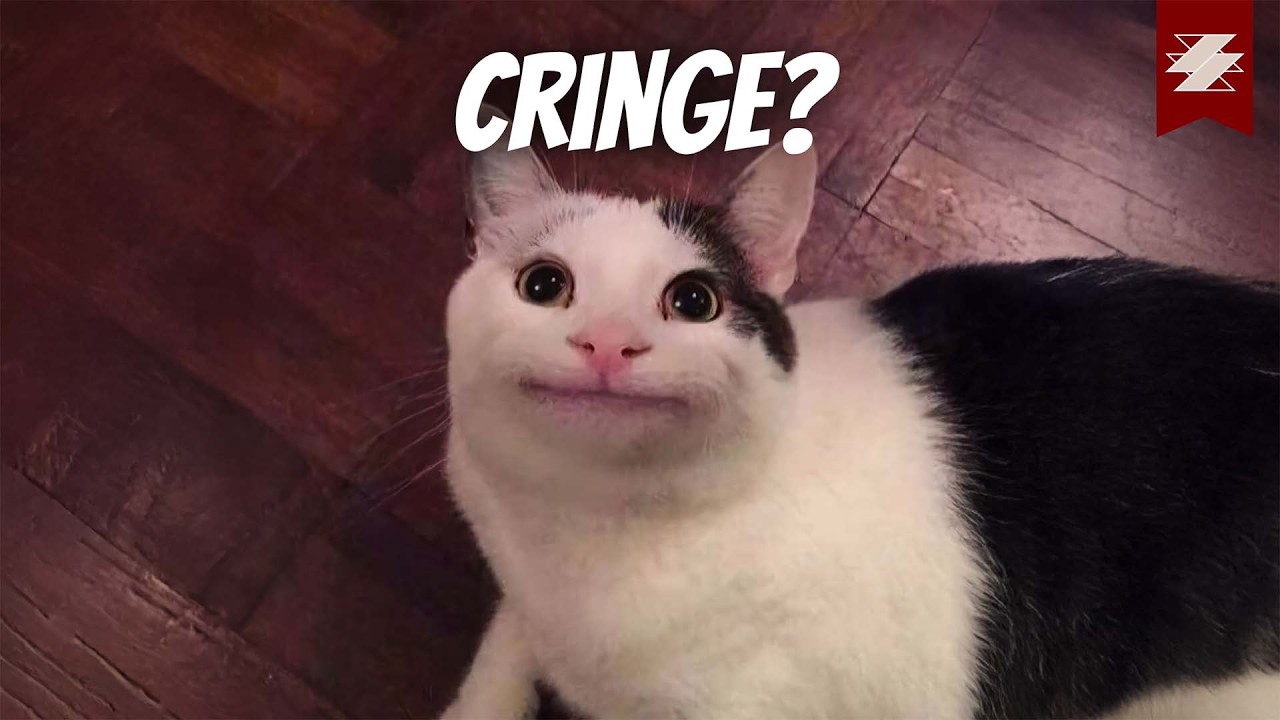 Văn hoá Cringe – Meme hóa của giới trẻ ĐỘC HẠI như thế nào ? | SAMURICE
