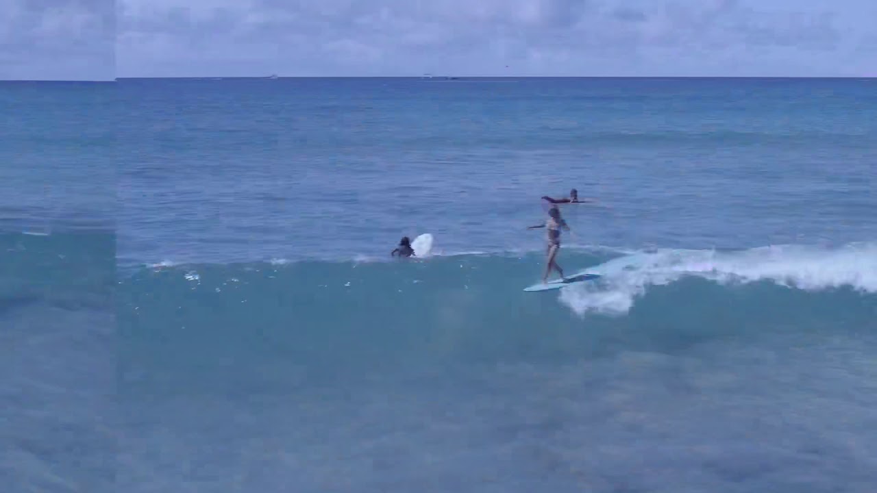 WSL Hawaii Longboard Pros YouTube