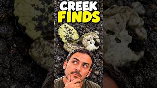 A Closer Look at Our Creek Finds