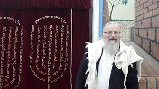 גם לב בני אדם ביד ה', לכן ה' ימלוך לעולם ועד |  הרב שמואל אליהו | הלכה יומית י"ב שבט תשע"ט
