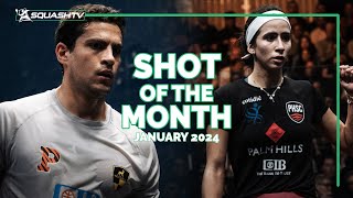 Squash Shots of the Month - January 2024 💥