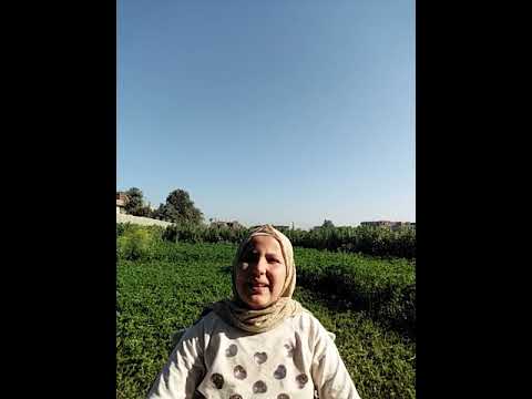 ماهي السور التي بدأت بالحمد في القرآن الكريم