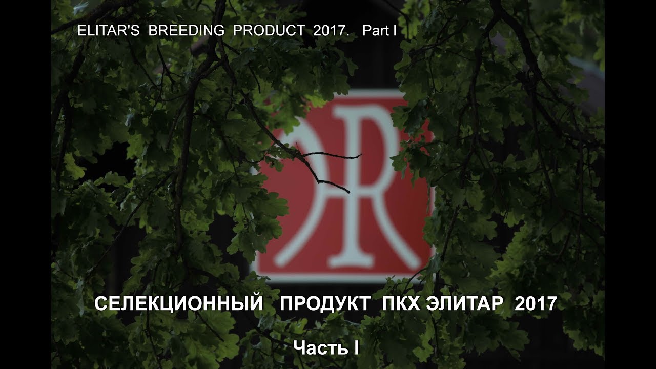 ELITAR'S BREEDING PRODUCT  2017  Part I