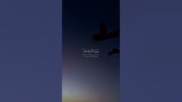 سوره لقمان من الايه ١٢ الي الايه ١٥ | الشيخ ياسر الدوسري