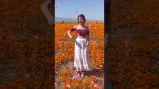 Jisoo Flower Kpop Dance Cover Poppy Fields