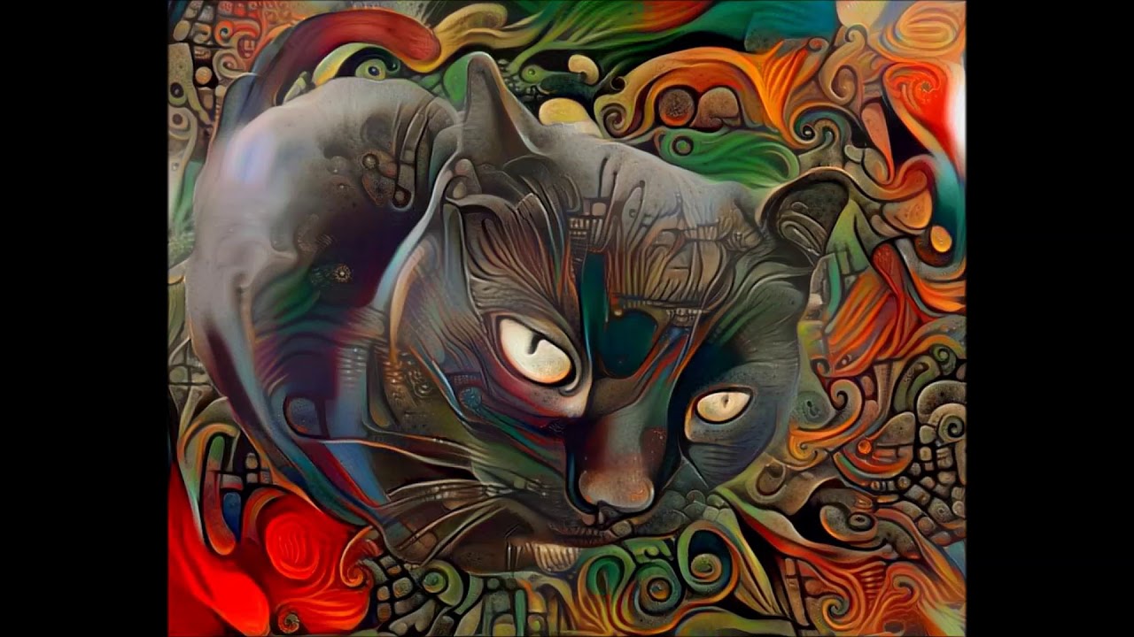 Watch Igboogã - Cat Wisdom on YouTube Watch Igboogã - Cat Wisdom on YouTube