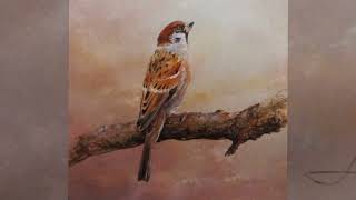 Listen to 432 Hz (Nature Birds Singing) Earth's Resonances Sound Relax your nervous system.Frequency screenshot 5