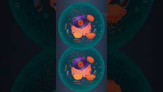 Celebrity Human cell #everyone Wealth