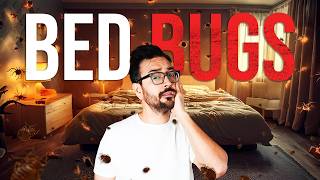 Bed bugs and my Airbnb HELL week