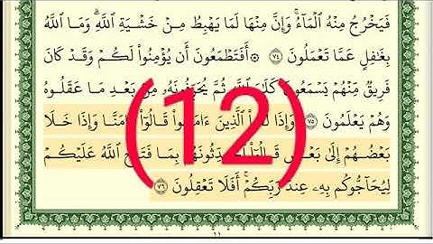 سوره البقرة رقم الصفحة 12 مجود بصوت القارئ الشيخ أيمن سويد حفظه الله