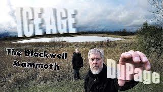 Ice Age DuPage Illinois - The Blackwell Mammoth