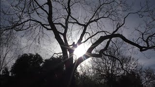 Morning Prayer – Monday, 11th April 2022