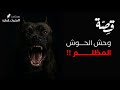 074 قصة صدمة هذال بودكاست منثورات قضائية