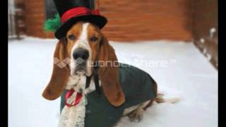 Download Lagu Four Tops - Loco In Acapulco (MW Re Edit) MP3