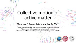 Collective motion of active matter