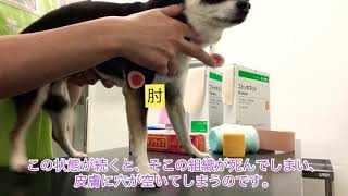 ストッキネットで床ずれケア！