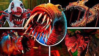 ZOOCHOSIS CAMEL FIGHT NEW UPDATE ZOOKEEPPER  SERIES FULL HD