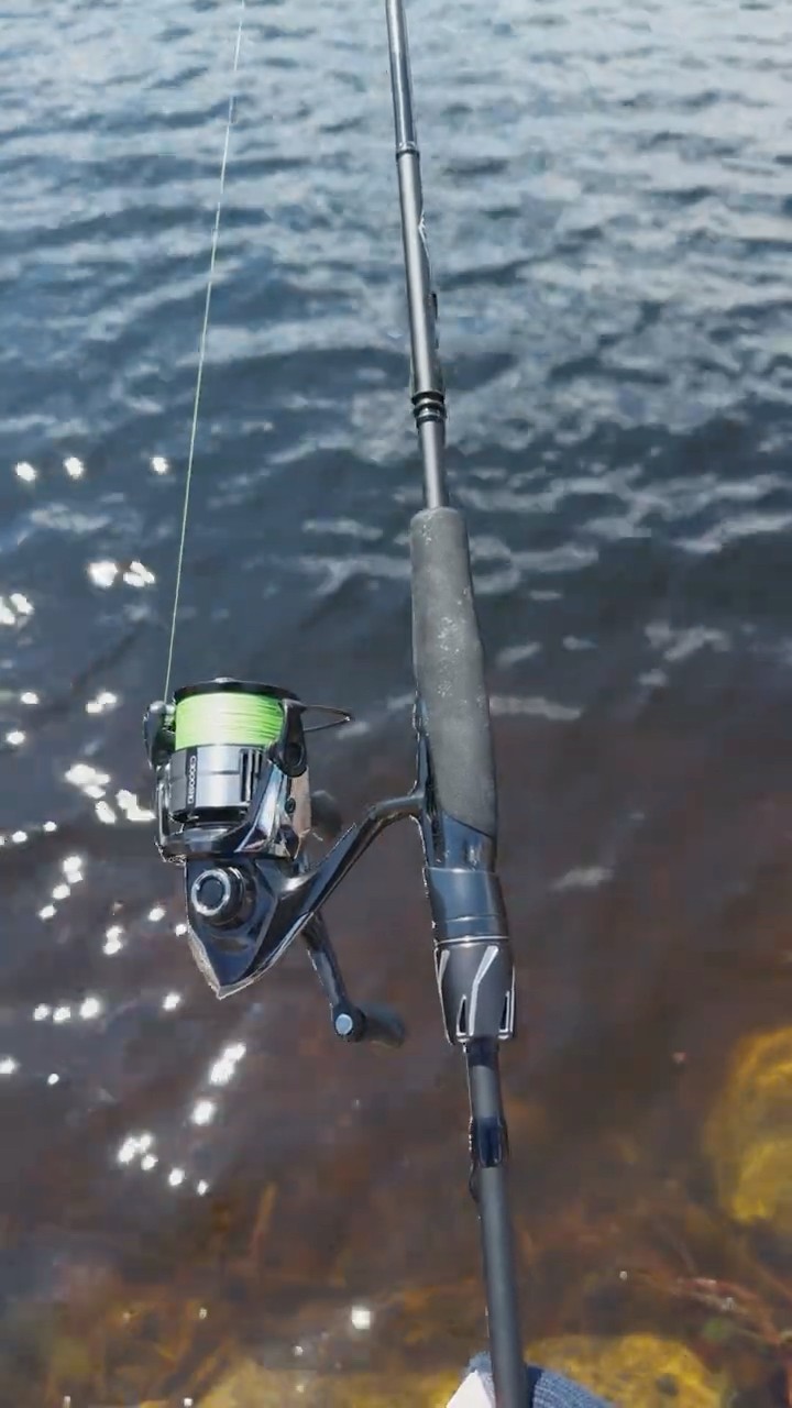 2025 Daiwa Steez Mini Review - YouTube