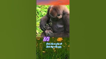 8/3 chúc chị em phụ nữ sức khỏe và xinh đẹp mỗi ngày nhé 😂😂😂😂