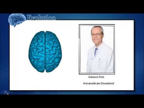 Vidéo: Quelle Est La Différence Entre La Pensée Du Cerveau Gauche Et La Pensée Du Cerveau Droit ?