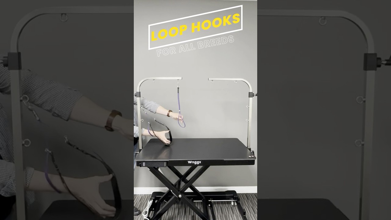 Waggz Difference: Adjustable Arms