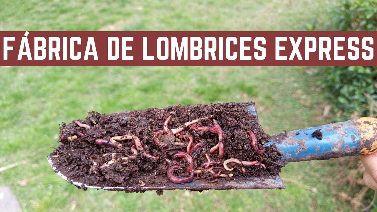 HUMUS de LOMBRIZ- Curso de Como Hacer una LOMBRICOMPOSTERA - Paseo por la Huerta de Hola Verde