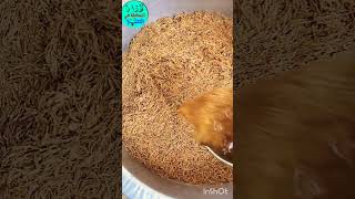 #طريقة حديثة للدجاج المناسبات وطبخ الشعرية او حشوة التمن بمكونات سهلة وطعم رهيب #طبخ ثواب الاربعين