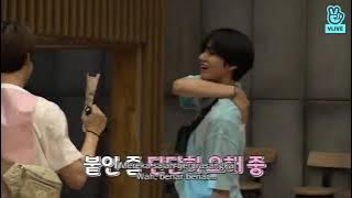 BTS Run ep 87 {sub indo}