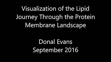 Molecular Dynamics Visualization Demonstration
