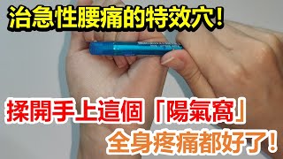 治急性腰痛的特效穴！揉開手上這個「陽氣窩」，全身疼痛都好了！