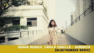 Shawn Mendes, Camila Cabello - Señorita (Bluethunder Remix)