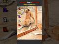 Ranking Top 5 Pets vs Mirror|| #shorts #funny #youtubeshorts