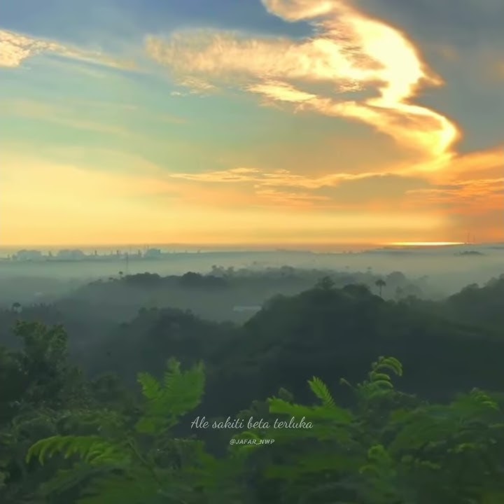 Story Wa Lagu Antara Nyaman Dan Cinta Terbaru