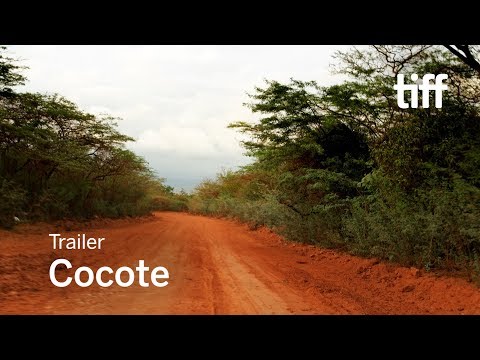 COCOTE Trailer | TIFF 2017