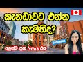 කැනඩාවට එන්න කැමතිද?| අලුත්ම සුභ news එක|AIPP| Canada Sinhala vlog | Canadawe Api |breaking news